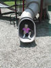 ANNIE SLIDES