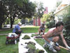 Saving The Sod