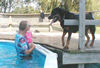MEETING LIFEGUARD