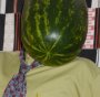 no-content banner image