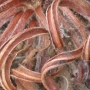 no-content banner image