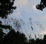 no-content banner image