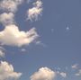 no-content banner image