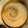 no-content banner image