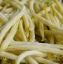 no-content banner image