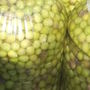 no-content banner image