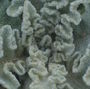 no-content banner image