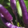 no-content banner image