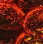 no-content banner image