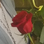 no-content banner image