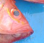 no-content banner image