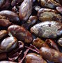 no-content banner image
