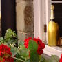 no-content banner image