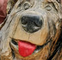 no-content banner image