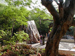The path is lined with little shrines.  Even in places where there are no formal shrines, people make little cairns or hand things from tree branches