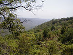 The hill were really pretty