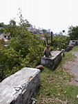 Monkey taking a break