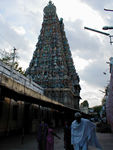 The tallest tower, the South Tower