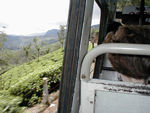 The bus window