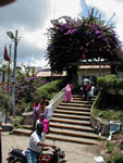 The stairway to the post office