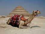 The pyramid was built in six stages.  It started as a simple mastaba.  Imhotep added to it as he gained confidence in building with stone.  When he was done, the pyramid was sheathed with fine limestone.