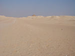 Those too.  Tote and I saw human bones laying out on the sand as we walked.  Pretty cool