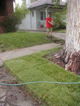 New sod - we wouldn't want the renters to feel embarassed.