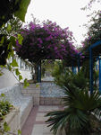 Front of the hostel