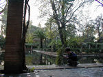 Girl in Maria Louisa