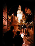 The cathedral
