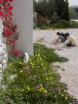 Kids playing in the gravel