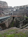 No wild animals but this is where they came from.  They were brought into the arena only after having been kept for a long time in the dark without food.  
