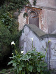 Farnesiana Gardens.  Cardinal Farnese bought Palatine hill in 1550 and had a villa built with marvelous gardens.  