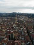 View from the tower