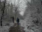 On the snowy hike
