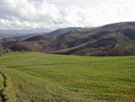 Monica couldn't resist taking a picture of this field.