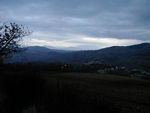 Evening