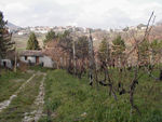 The house at the end of the road