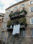 Perugian clothes drier.