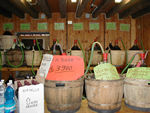 A wine store.  They sell only local wines.  They fill your bottle for between $1.50 and $2.00 per liter.  People also drop off empty water bottles at these places, in case someone needs one.  Makes for happy recyclers.