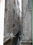 Looking out the apartment window.  Duncan and Tote say that it looks like Dinotopia.