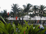 Our hotel was right across the road from Manila Bay.  BUT, this part of Manila Bay was one of those bodies of water that is at its best when seen from a distance.  Up close the shore is a trashy mess.