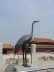 Maggie liked this crane