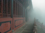 Misty view