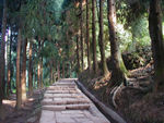 A level part of the path to the top.  There is a brigade of orange-vested people who keep the path absolutely clean - no trash, no dirt, no leaves.