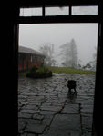 The rain wasn't all bad.  It made for some beautiful moments.