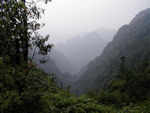 View through the haze
