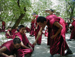 Debating monks