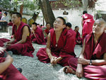 Puzzled monk