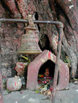Shrine (as you know by now, they come in every size and shape.)